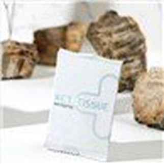 Lap Wajah Bayi Alami